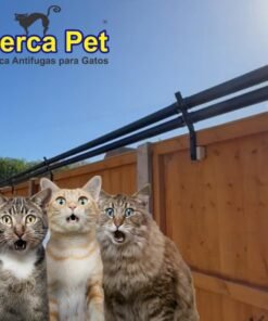 Alternative view of Haste Dupla - Suportes anti fuga Gatos - Compra Internacional